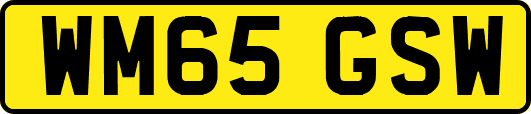 WM65GSW