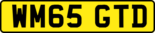 WM65GTD