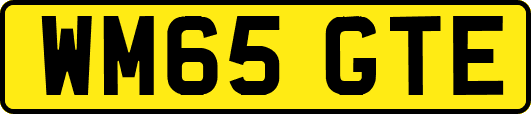 WM65GTE