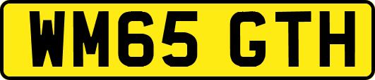 WM65GTH