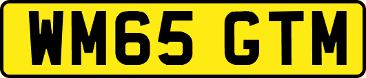 WM65GTM
