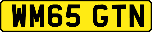 WM65GTN