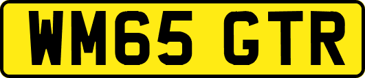 WM65GTR