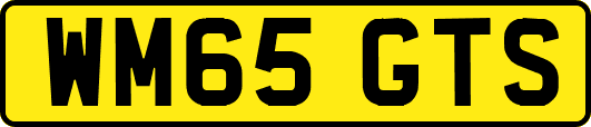 WM65GTS