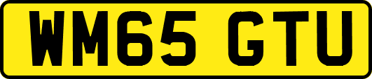 WM65GTU