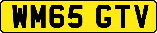 WM65GTV