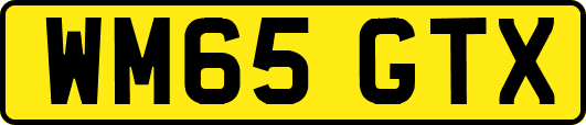 WM65GTX