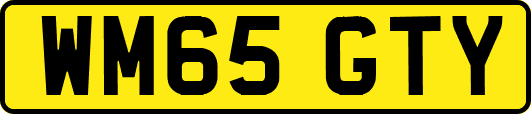 WM65GTY