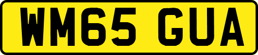 WM65GUA