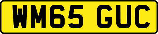 WM65GUC