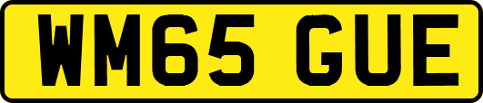 WM65GUE