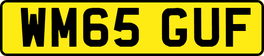 WM65GUF