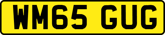 WM65GUG