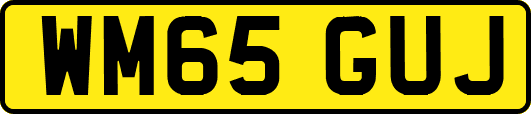WM65GUJ