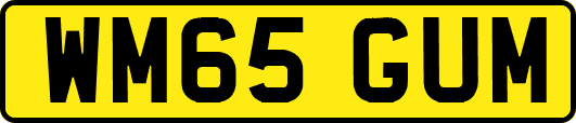 WM65GUM