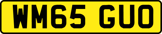 WM65GUO
