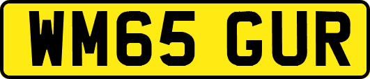 WM65GUR