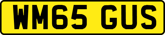 WM65GUS