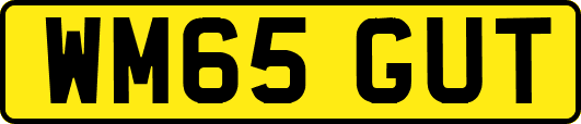 WM65GUT