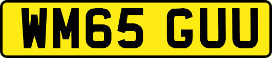 WM65GUU