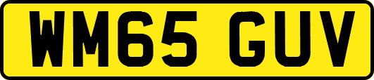 WM65GUV