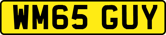 WM65GUY