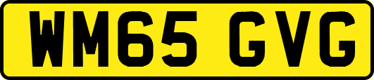 WM65GVG