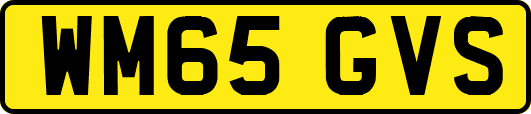 WM65GVS