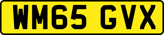 WM65GVX