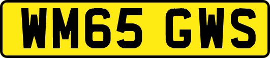 WM65GWS