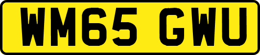 WM65GWU