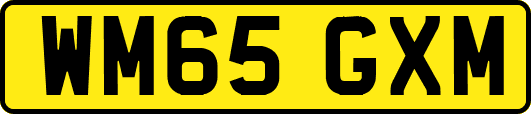 WM65GXM