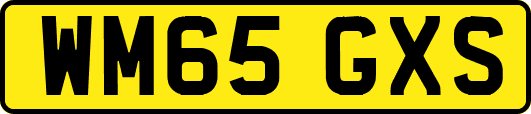 WM65GXS