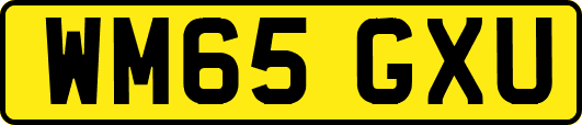 WM65GXU