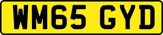 WM65GYD