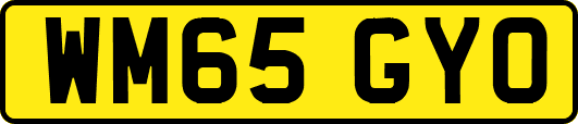 WM65GYO