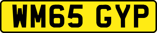 WM65GYP