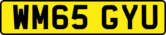 WM65GYU
