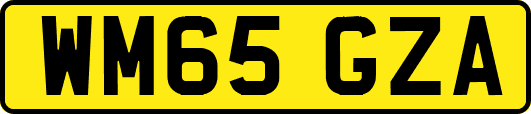 WM65GZA