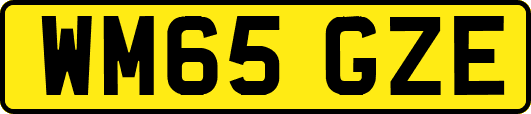 WM65GZE