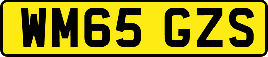 WM65GZS