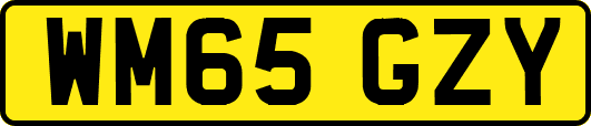 WM65GZY