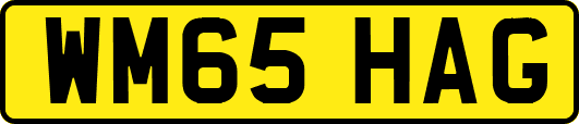 WM65HAG