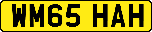 WM65HAH