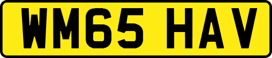 WM65HAV