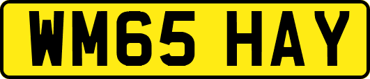 WM65HAY