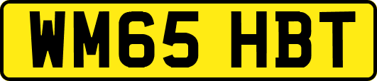 WM65HBT