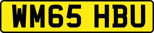 WM65HBU