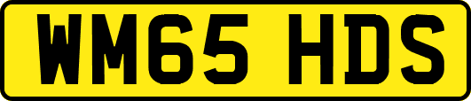 WM65HDS