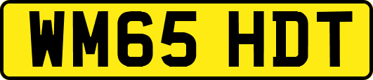 WM65HDT